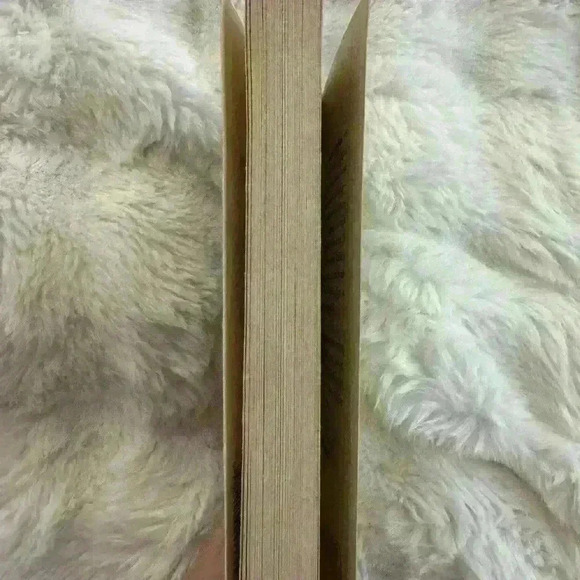 4 Book Bundle Novels including The Series  of Unfortunate Events and Mockingbird - Picture 14 of 14